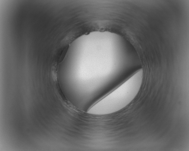X0000069790719200605190843