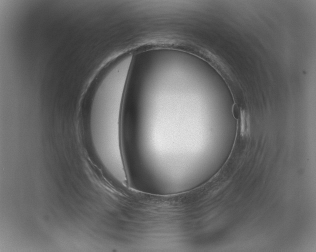 X0000069790723200605190843
