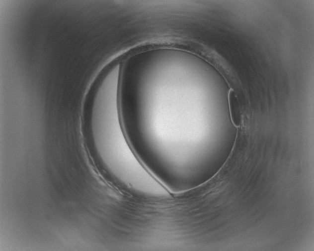 X0000069790724200605190843