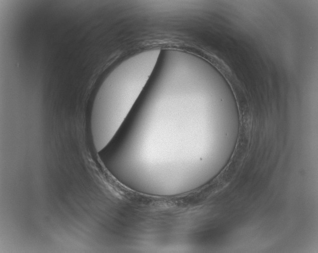 X0000069790729200605190843
