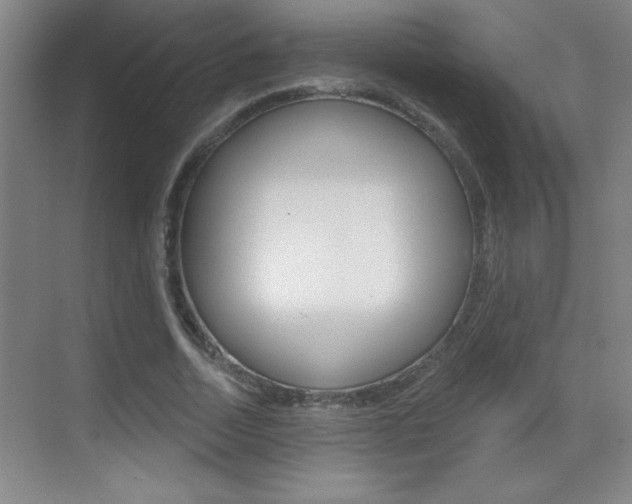 X0000069790730200605190843