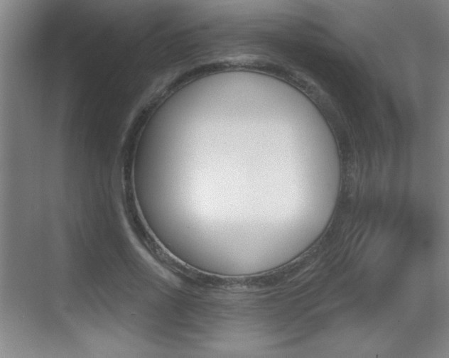 X0000069790734200605190843