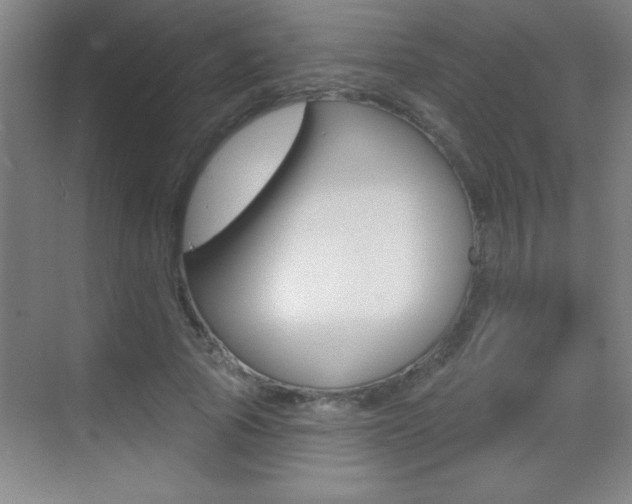 X0000069790737200605190843