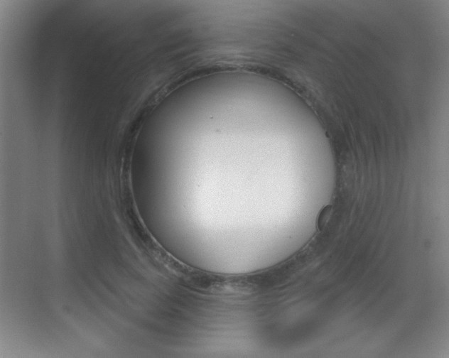 X0000069790739200605190843