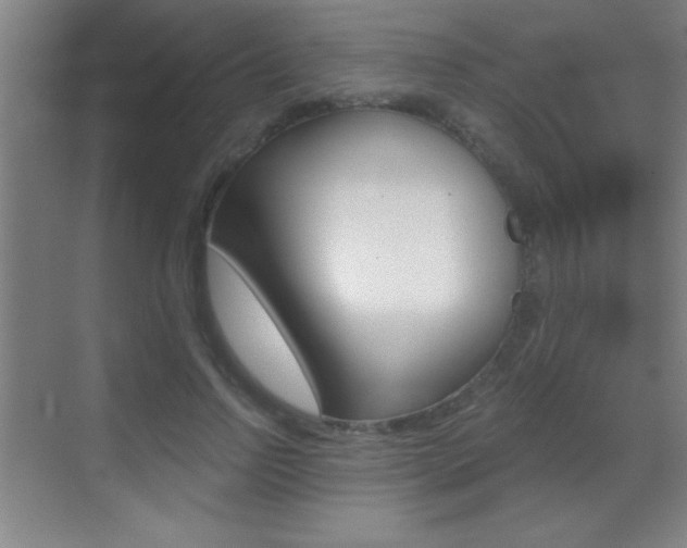 X0000069790742200605190843