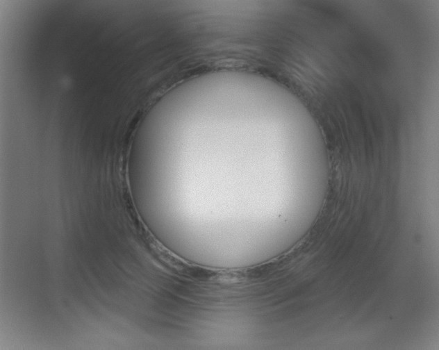 X0000069790745200605190843