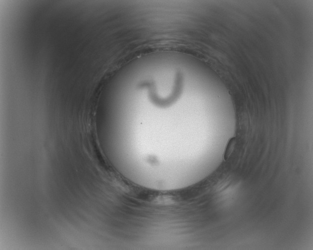 X0000069790751200605190843