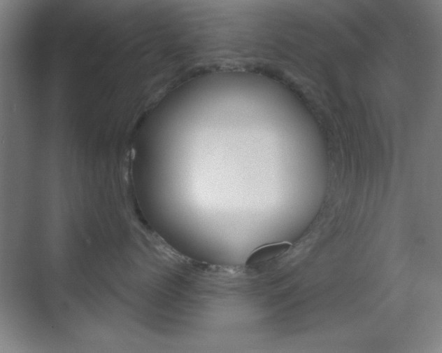 X0000069790768200605190843