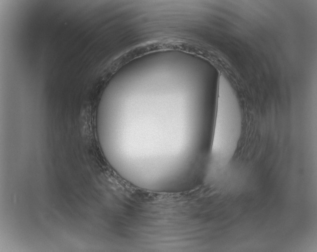 X0000069790773200605190842