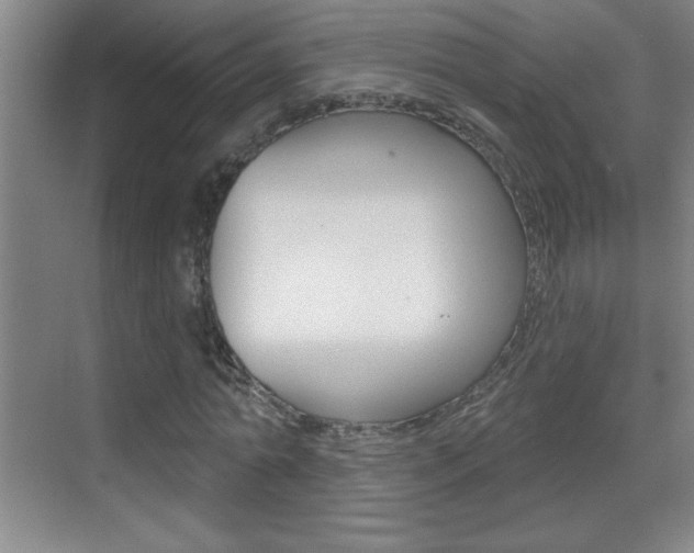 X0000069790774200605190842