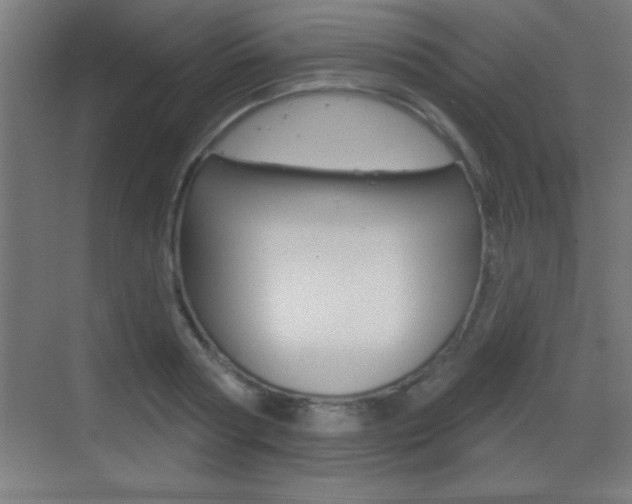 X0000069790794200605190842