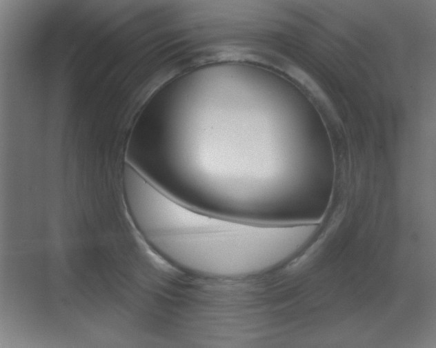 X0000069790801200605190842