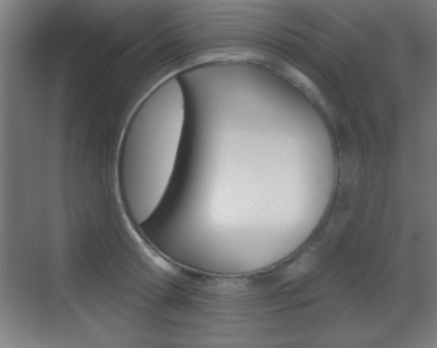 X0000069790802200605190842