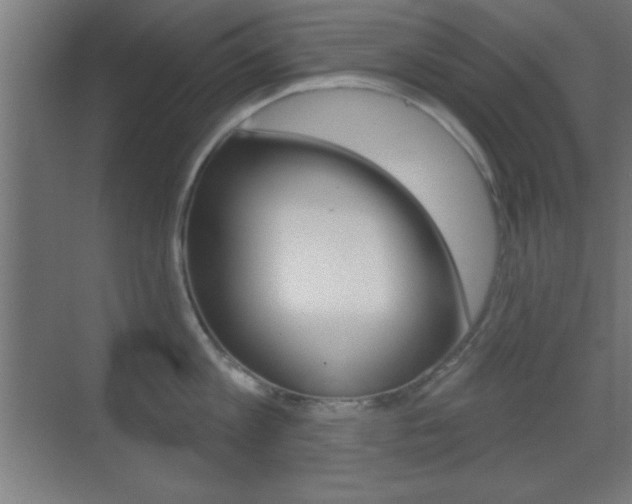 X0000069790813200605190842