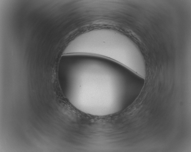 X0000069790821200605190841