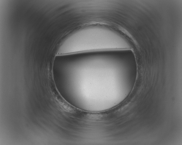 X0000069790825200605190841