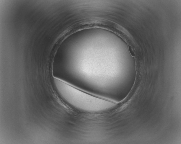 X0000069790826200605190841