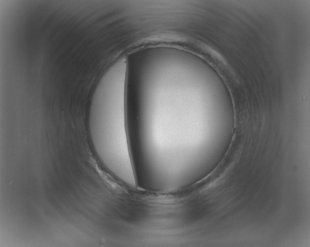 X0000069790833200605190841