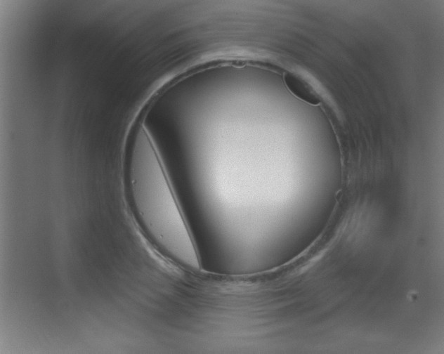 X0000069790837200605190841