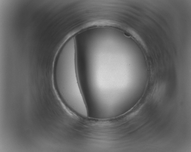 X0000069790845200605190841