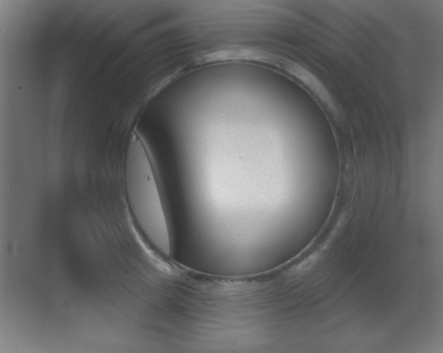 X0000069790849200605190842