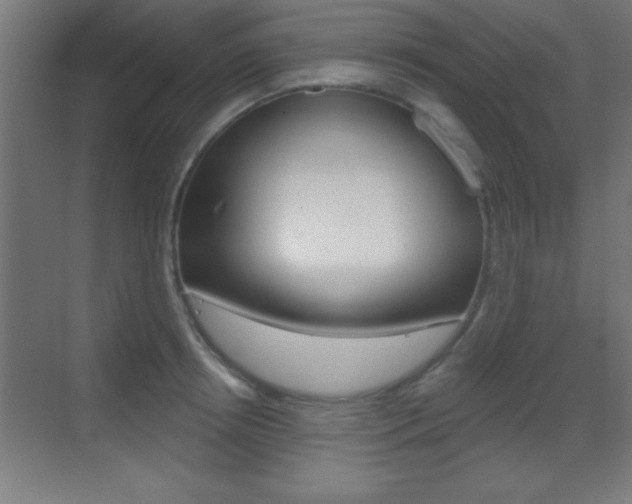 X0000069790850200605190842