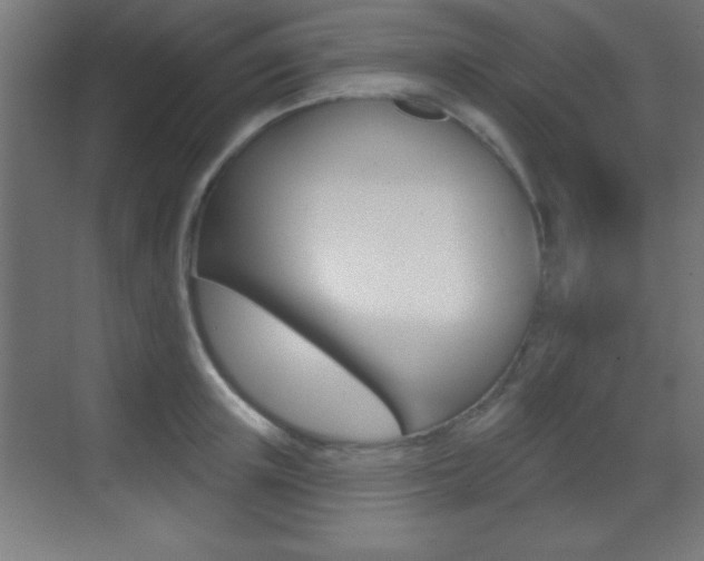 X0000069790851200605190842