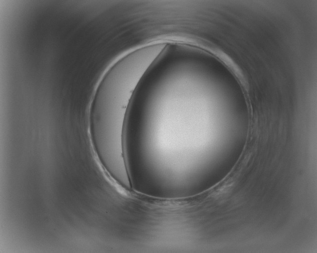 X0000069790862200605190842