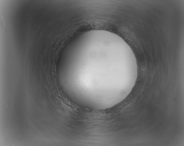 X0000069790865200605190841