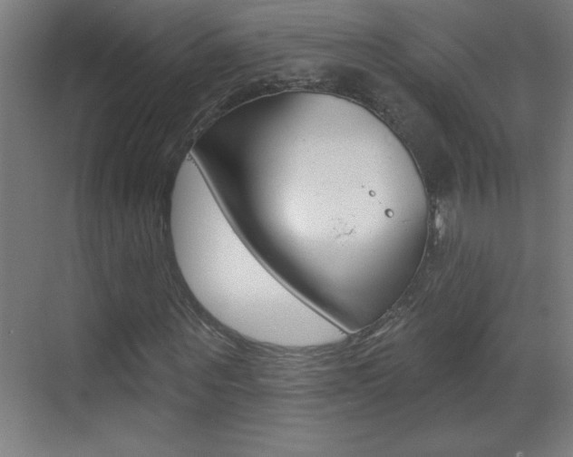 X0000069790867200605190841