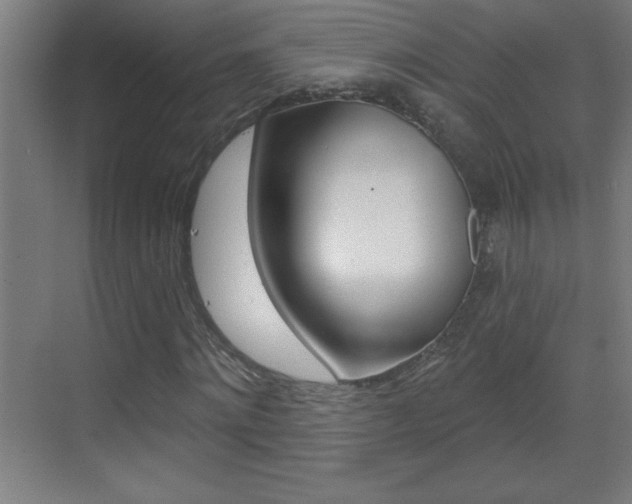 X0000069790868200605190841