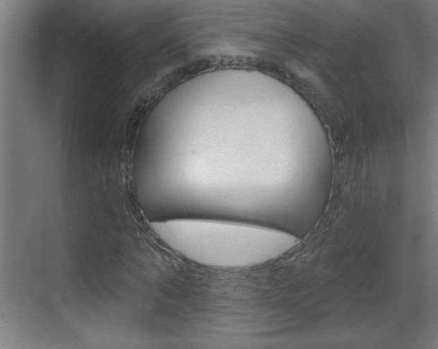 X0000069790870200605190841