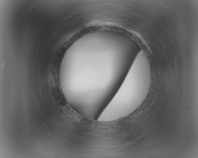 X0000069790871200605190841