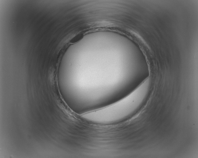 X0000069790873200605190841