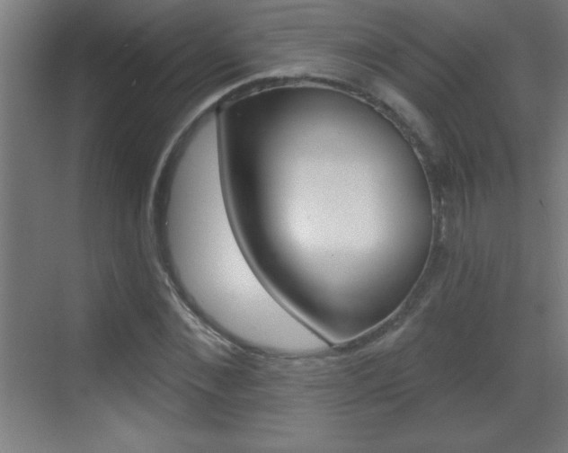X0000069790876200605190841