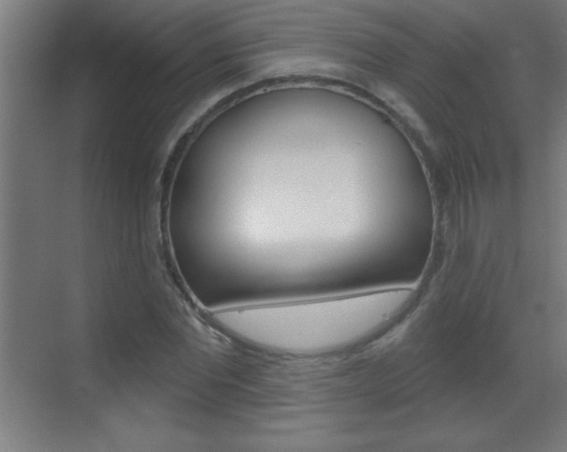 X0000069790877200605190841