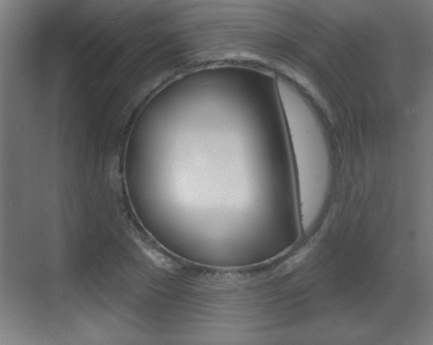X0000069790881200605190841