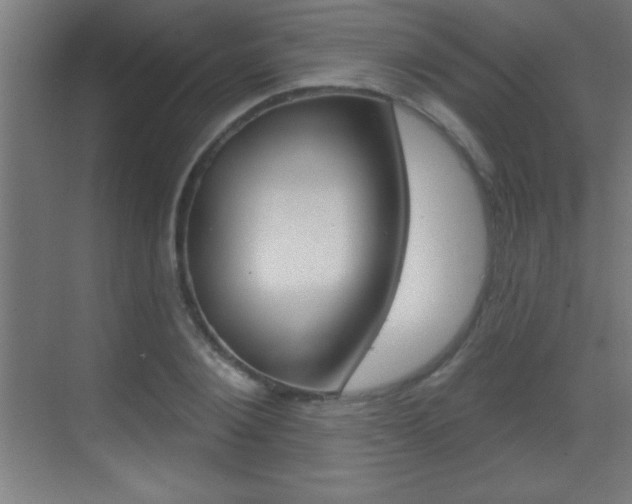 X0000069790884200605190841