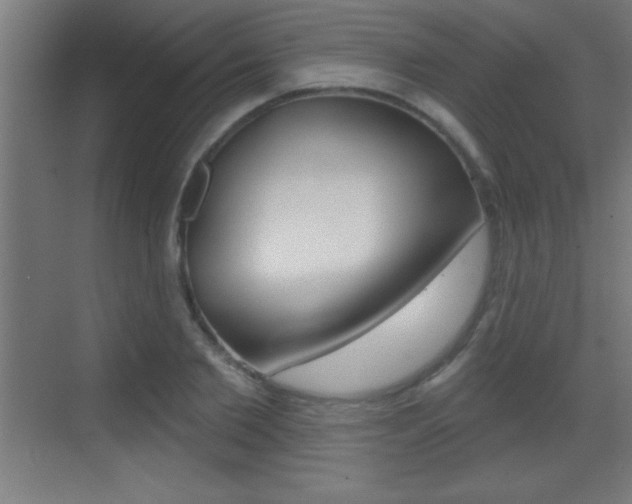 X0000069790885200605190841