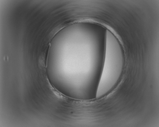 X0000069790905200605190840