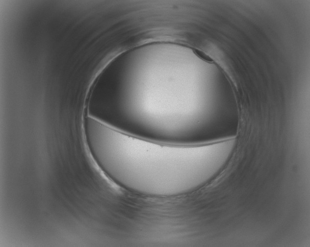 X0000069790906200605190840