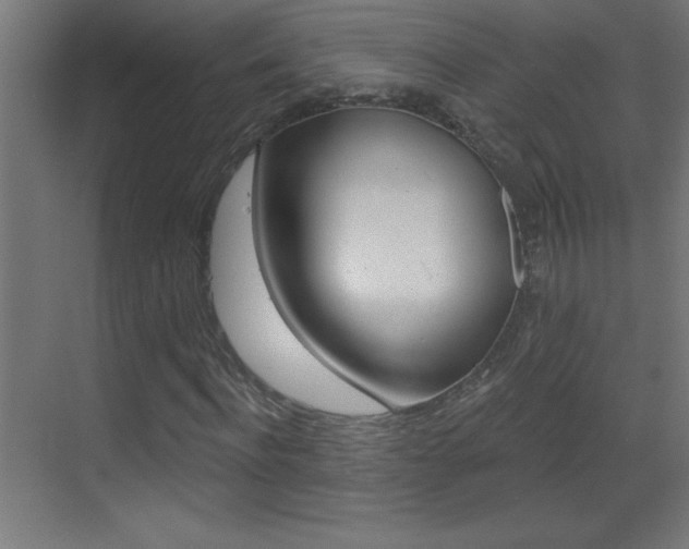 X0000069790916200605190839