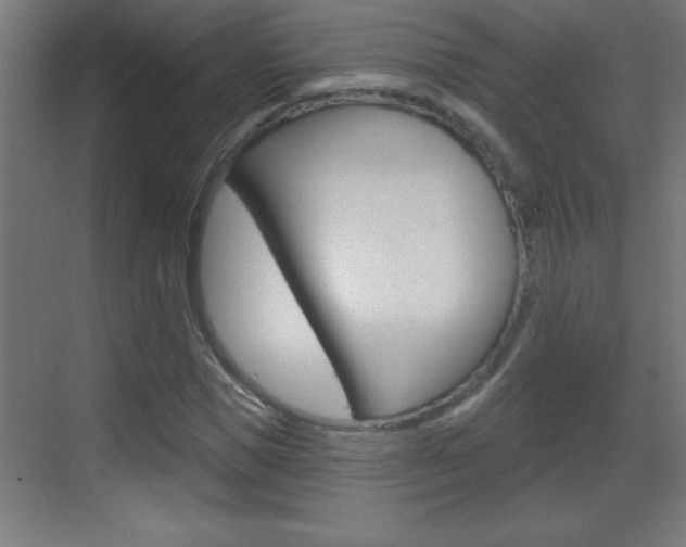 X0000069790921200605190839