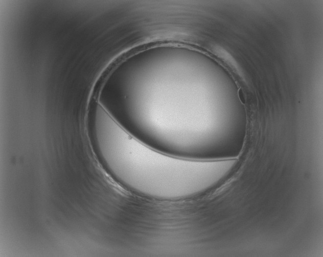 X0000069790924200605190840