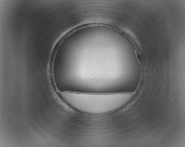 X0000069790928200605190840