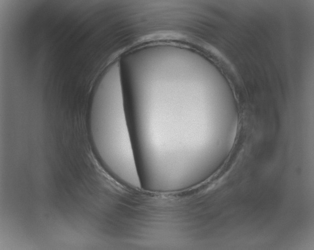 X0000069790929200605190840