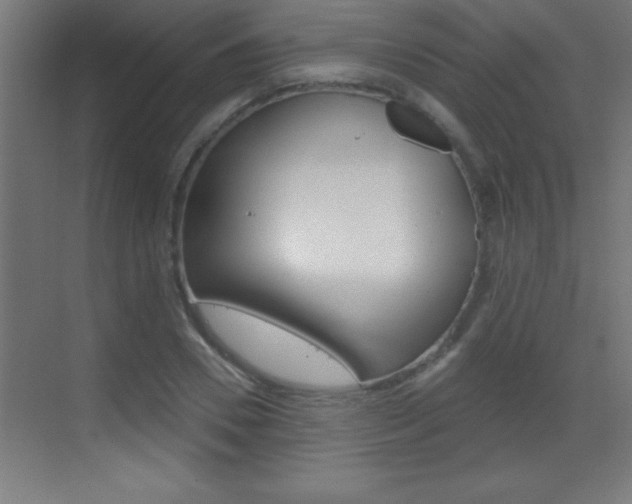 X0000069790930200605190840