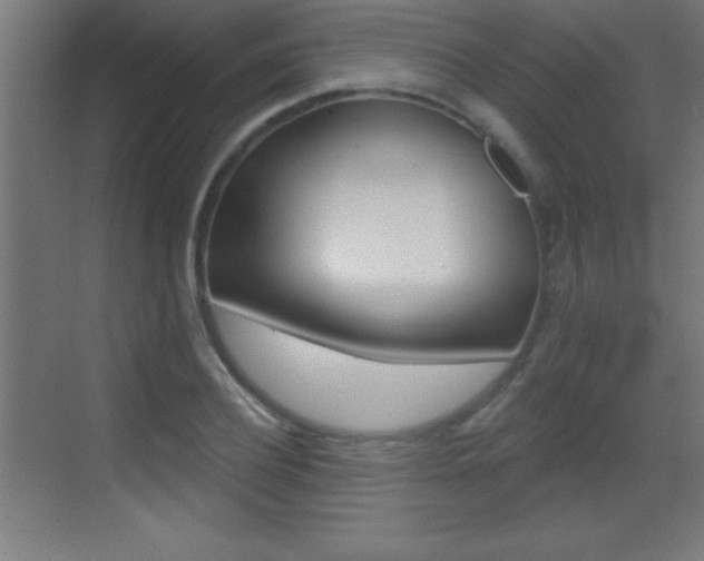 X0000069790932200605190840