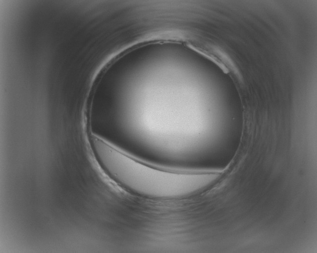 X0000069790944200605190840