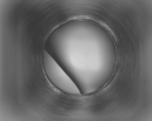 X0000069790945200605190840